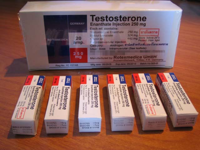 Testoviron steroid profile