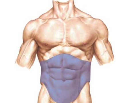 Abdomen musculos si definit intr-un timp relativ scurt