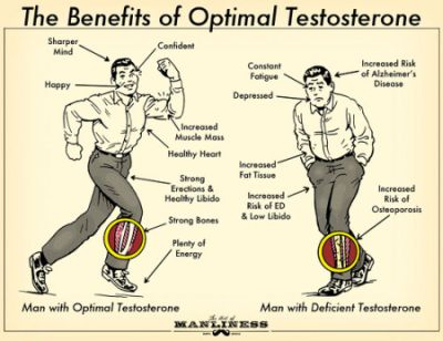cum iti afecetaza dieta nivelele testosteronului si altor hormoni