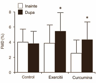 curcumina creste eficienta exercitiilor fizice