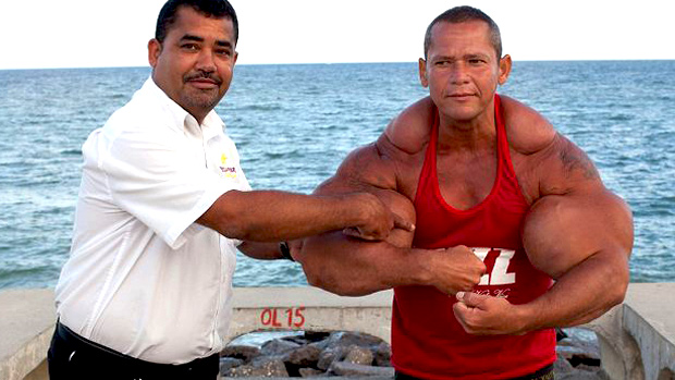 brate cu synthol