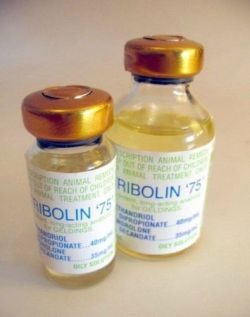 tribolin