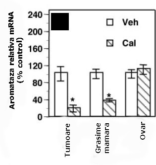 vitamina d este un antiestrogen pentru sportivi