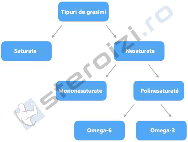 tipuri de grasimi