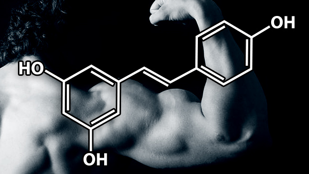 Nivelele mari de testosteron te ajuta sa traiesti mai mult