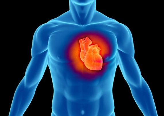 folosiera steroizi are efecte negative asupra inimii 