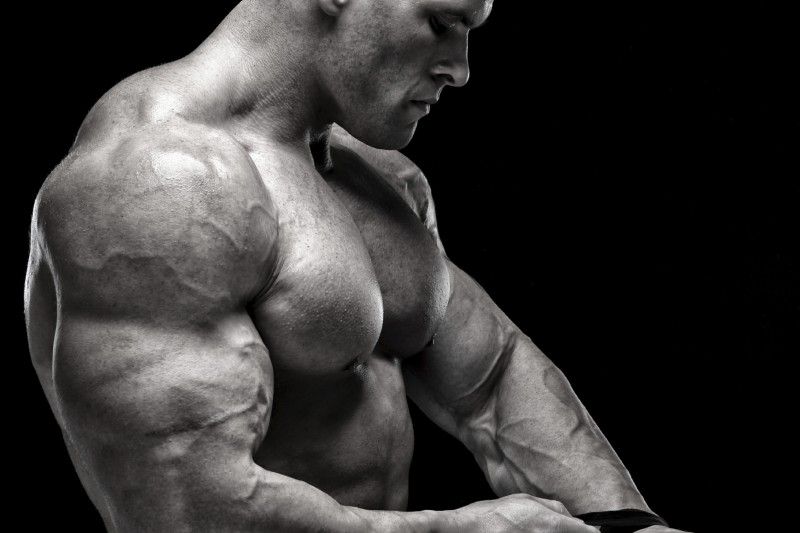 construirea de masa musculara este foarte usoara