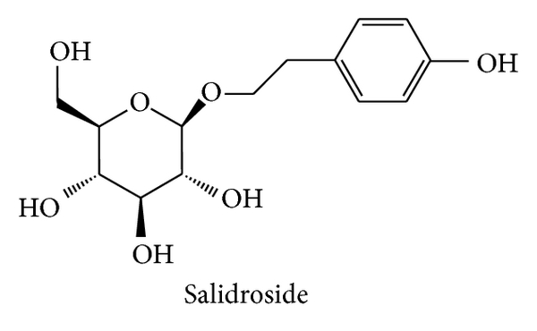 Salidroside, o noua forma de cafeina