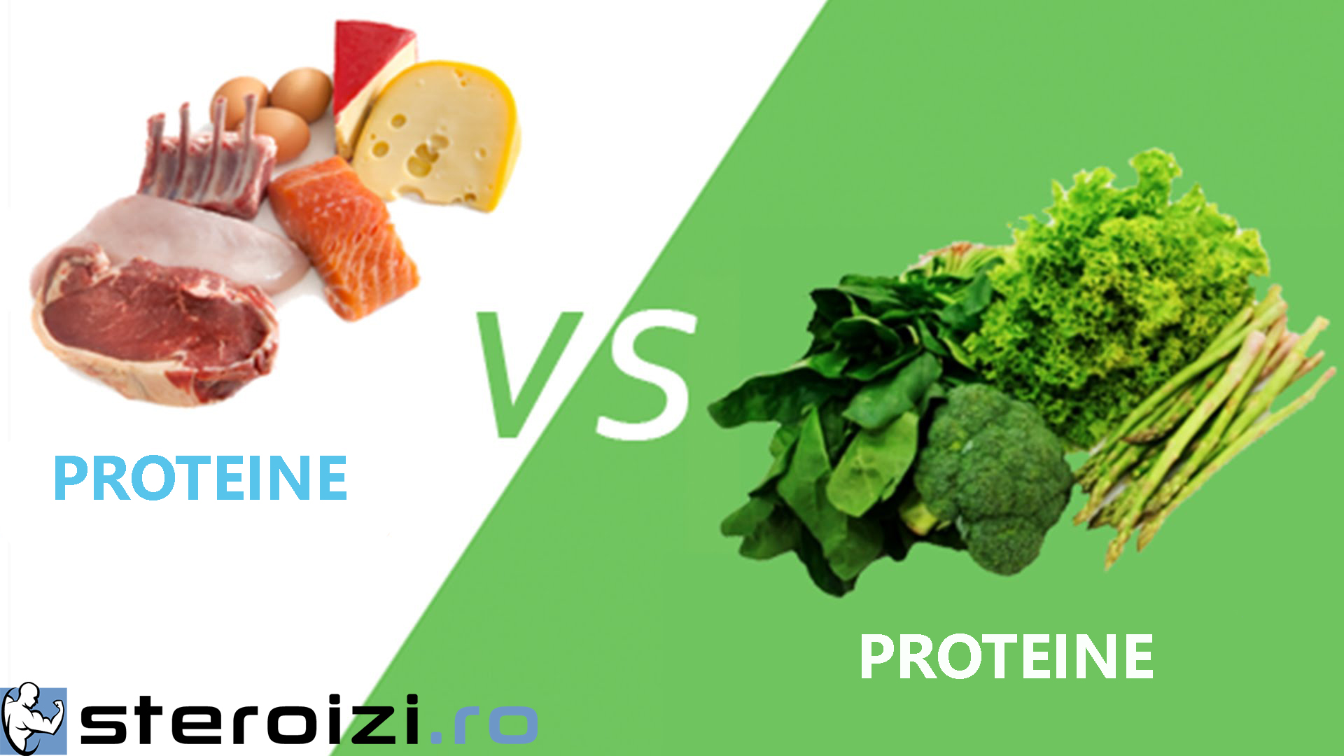 ce fel de proteine sunt mai bune: animale sau vegetale 