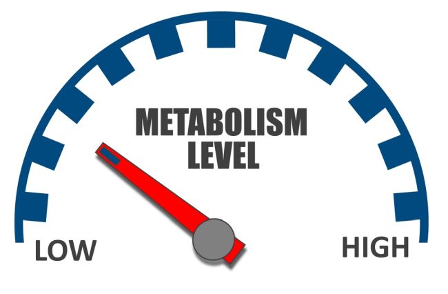 cum sa slabnesti mai rapid modificand metabolismul 