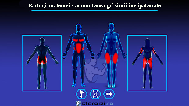 zone de acumulare grasime incapatanata barbati si femei