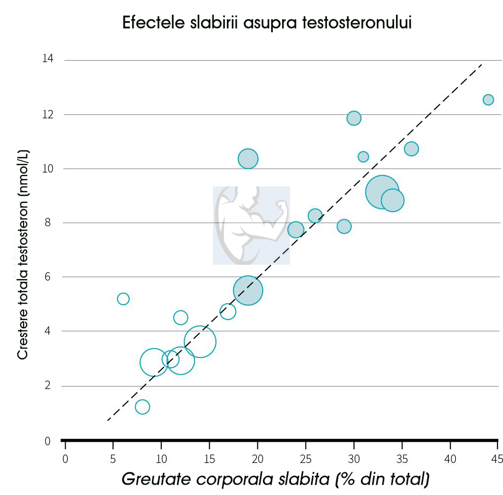 ingrasarea si testosteronul