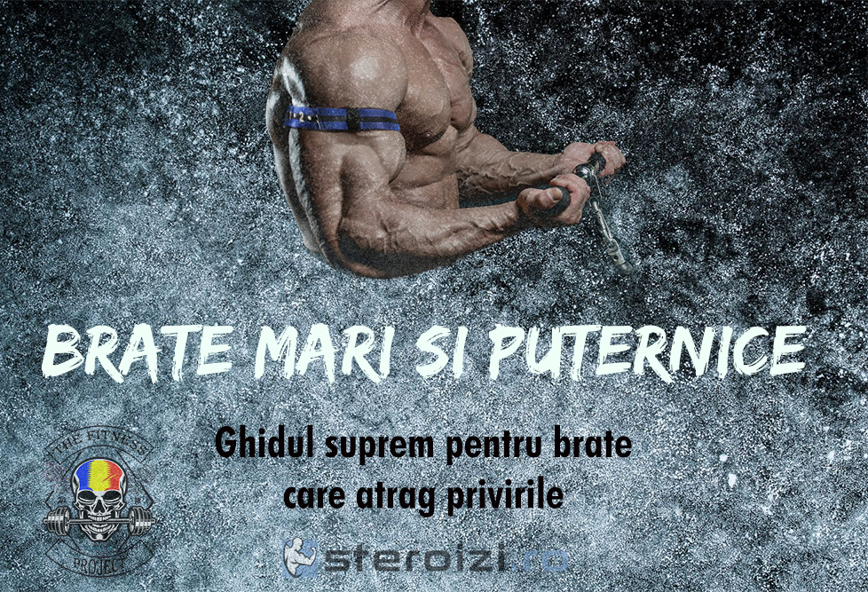 Brate mari si puternice - ghid crestere brate cu exercitii si videoclipuri