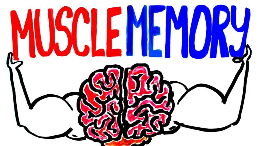 Memoria musculara - este reala?