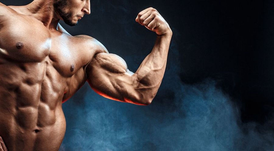 Definirea musculara: cat de mult sunt afectate forta si hipertrofia
