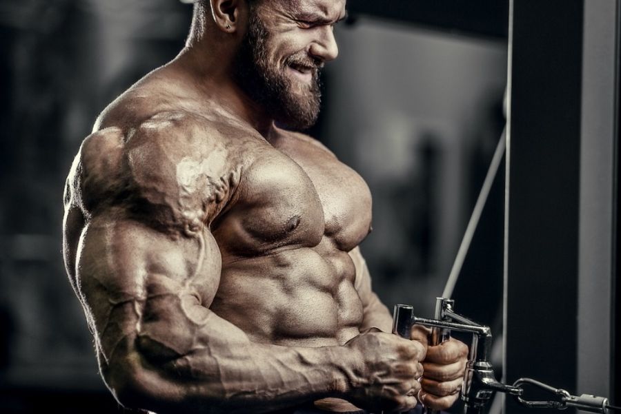 Cum sa manipulezi insulina pentru a iti creste masa musculara