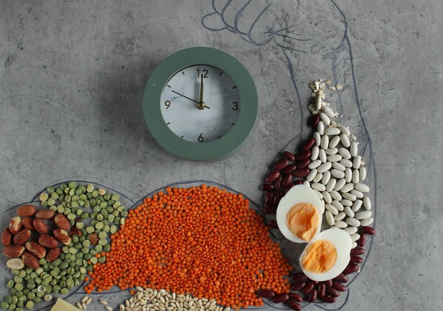 Proteinele si hipertrofia musculara: cantitatea sau timingul?